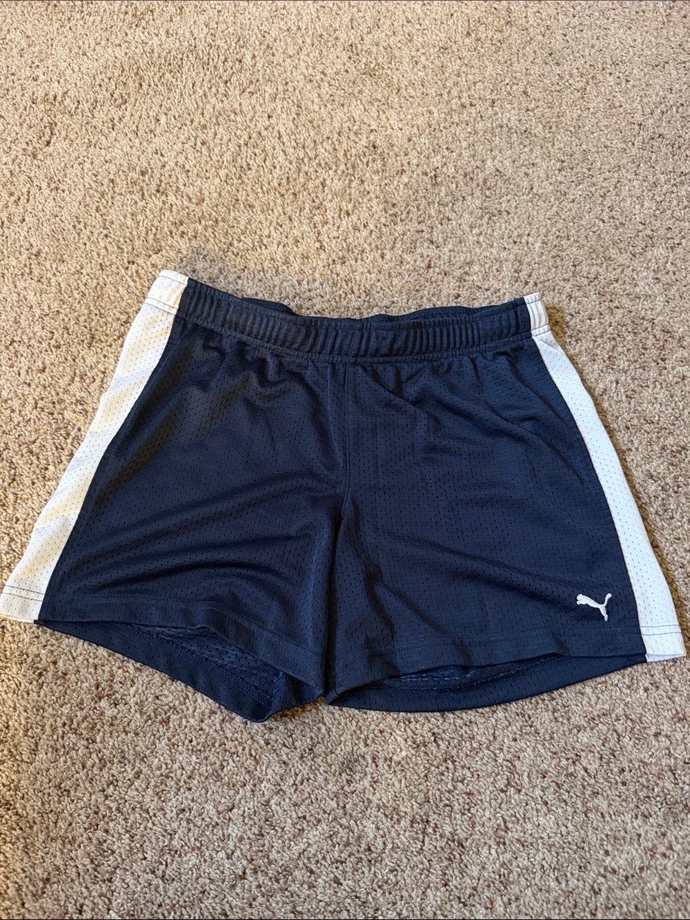 Puma Navy Shorts with White Side Stripes
